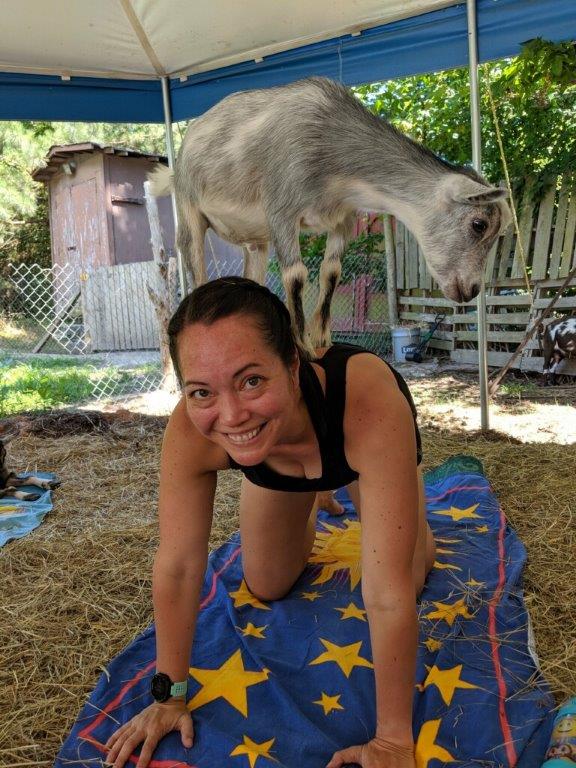 All 4's with a goat balancing on my back.