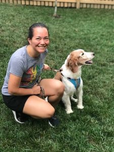 Crouching next to my Welsh Springer Spaniel, Wallace, in his Stunt Puppy harness