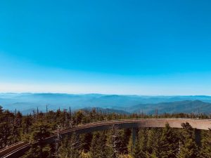 A view of the mountains from the Clingmans Dome viewpoint. Blue sky and the tops of trees at the highest point in the Great Smoky Mountains.