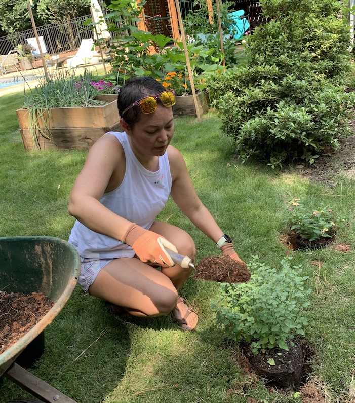 Digging holes and placing some pollinator plants near my garden.