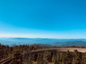 A view of the mountains from the Clingmans Dome viewpoint. Blue sky and the tops of trees at the highest point in the Great Smoky Mountains.