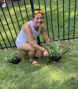 Putting in some pollinator plants near my garden.